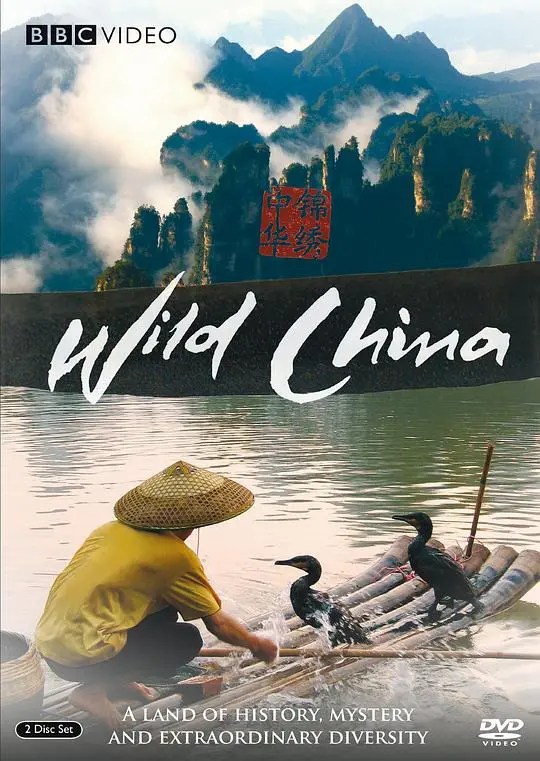 《美丽中国》：纪录片的极致！《我以网络护国门》的真实写照，《各自安好》的情感共鸣