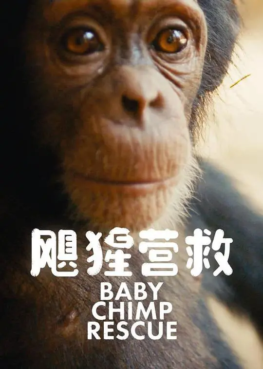《飓猩营救》：又一部爆笑冒险烂片？看完我只想说，这剧情简直神他妈在飞！