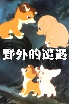 《野外的遭遇》：荒野求生还是惊悚噩梦？这场危险的邂逅，让人不寒而栗！