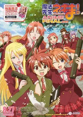 《剧场版 魔法先生！》：温情喜剧or史诗级大结局？全程爆笑泪崩！